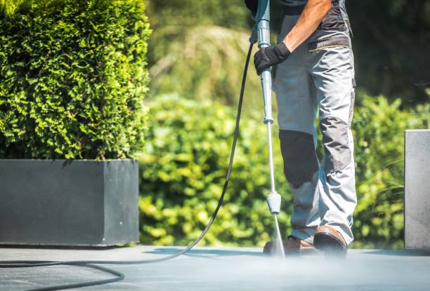 Best Dumpster Area Cleaning  in San Jacinto, CA